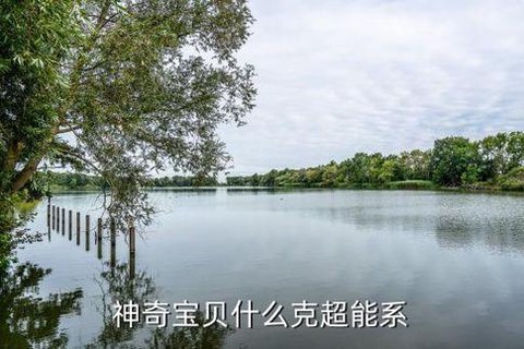 口袋妖怪什么克超能系[图2]