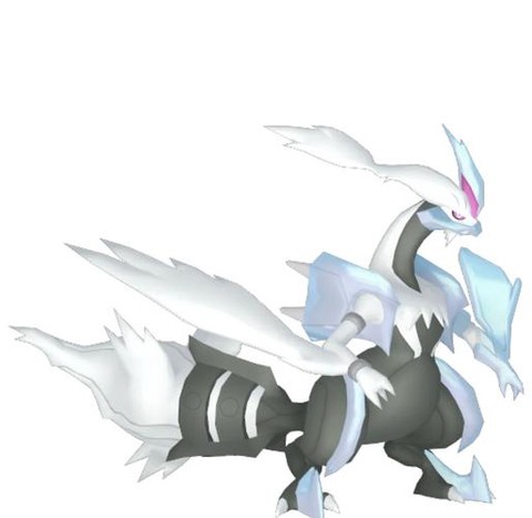 口袋妖怪酋雷姆怎么抓[图2]