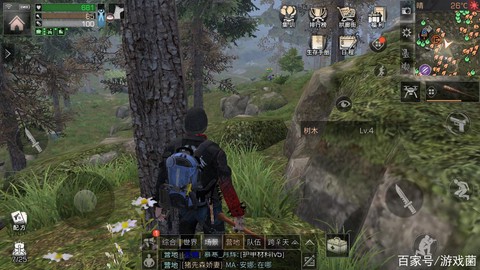 明日之后18采是什么[图1]