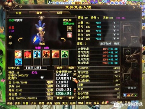 天龙八部武当带什么宝宝[图2]