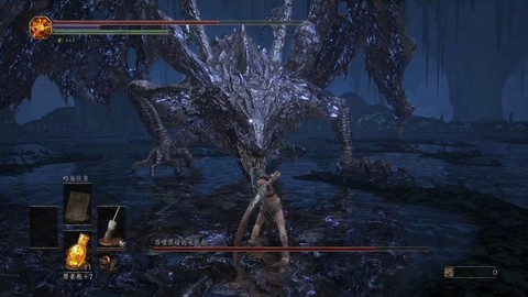 黑暗之魂3黑龙给了什么[图2]